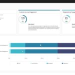 Customer Experience -Satmetrix Assesment Report Screenshot